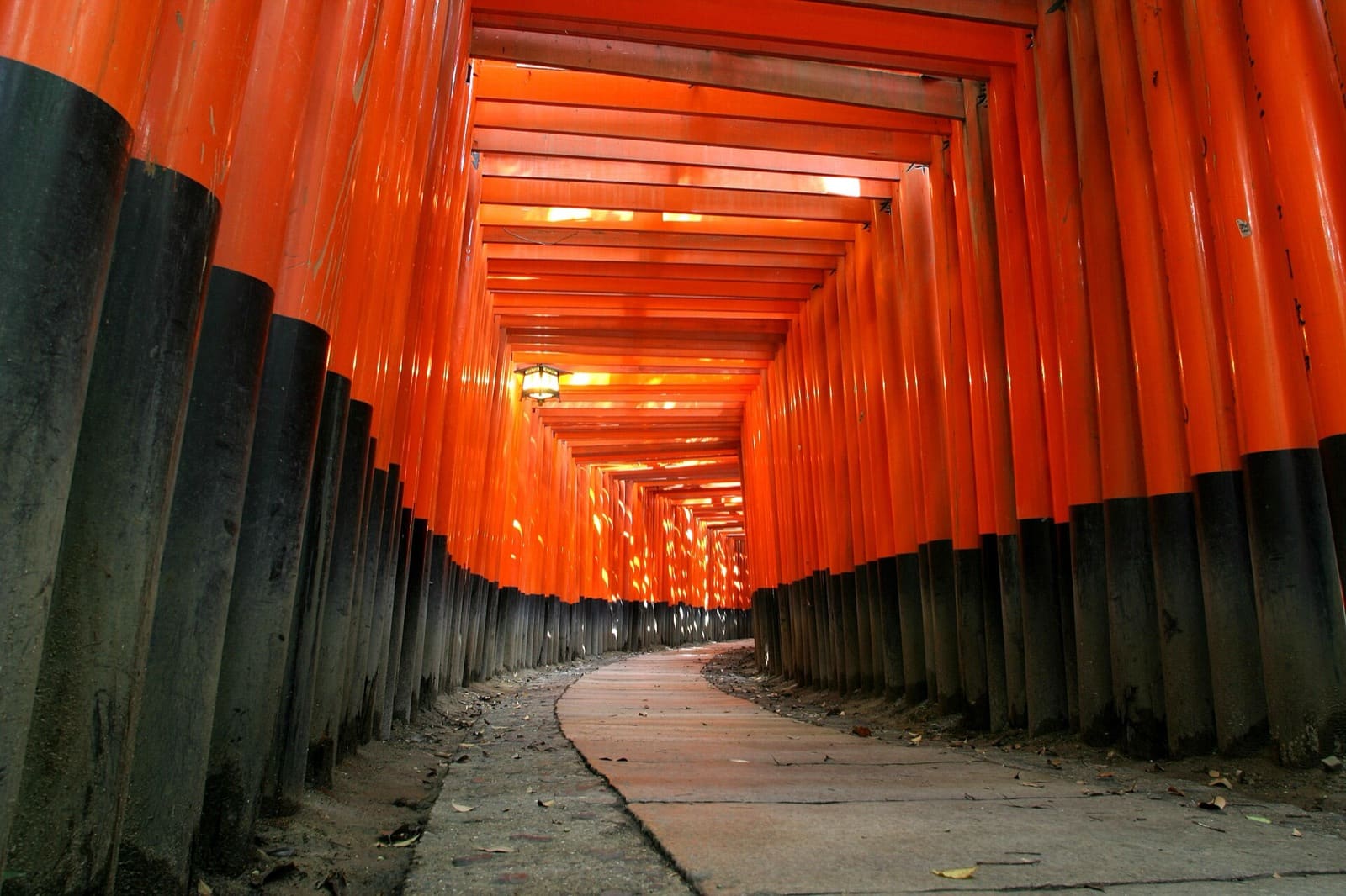 Vermilion torii gates lining the mountain path at Fushimi Inari Taisha, Kyoto