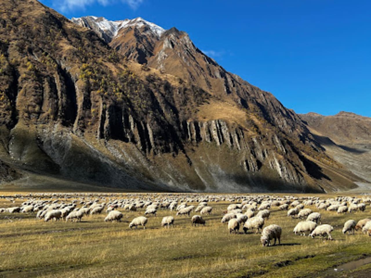 From Kazbegi to Truso Valley Trek with Hotel Transfers — photograph 4