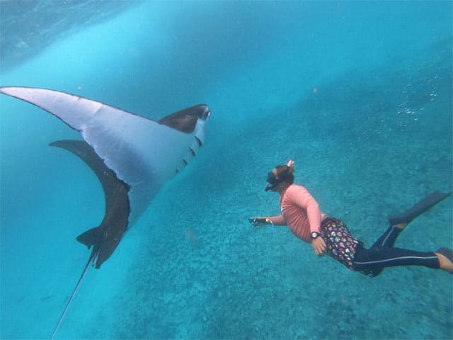 Snorkeling Manta Ray Safari in Nusa Penida — photograph 2