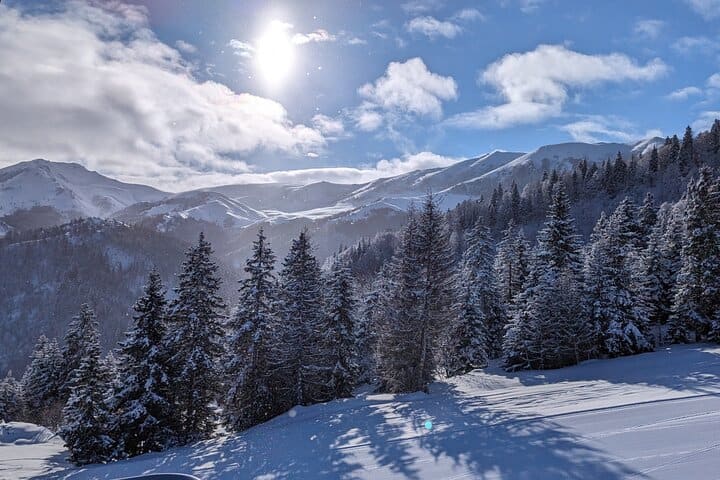 Bakuriani Borjomi Tour from Tbilisi — photograph 4