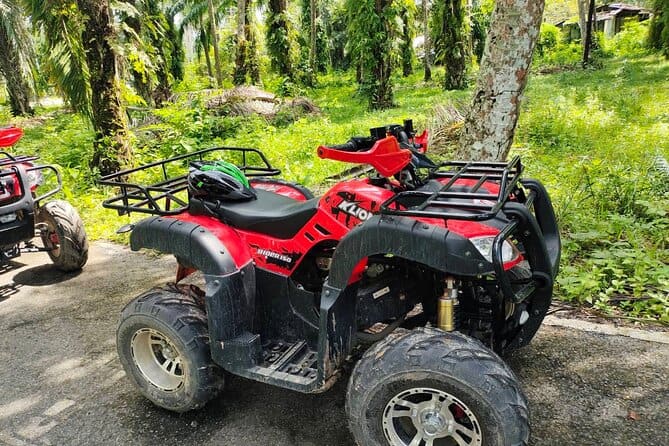 ATV Jungle Adventure in Krabi with Roundtrip Transfer — photograph 3
