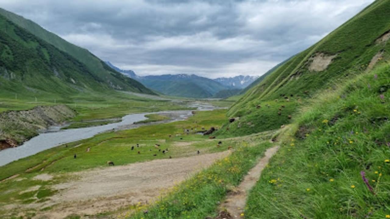 From Kazbegi to Truso Valley Trek with Hotel Transfers — photograph 5