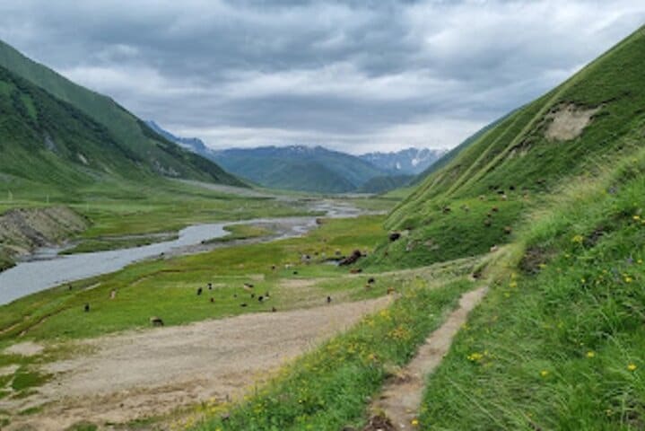 From Kazbegi to Truso Valley Trek with Hotel Transfers — photograph 5
