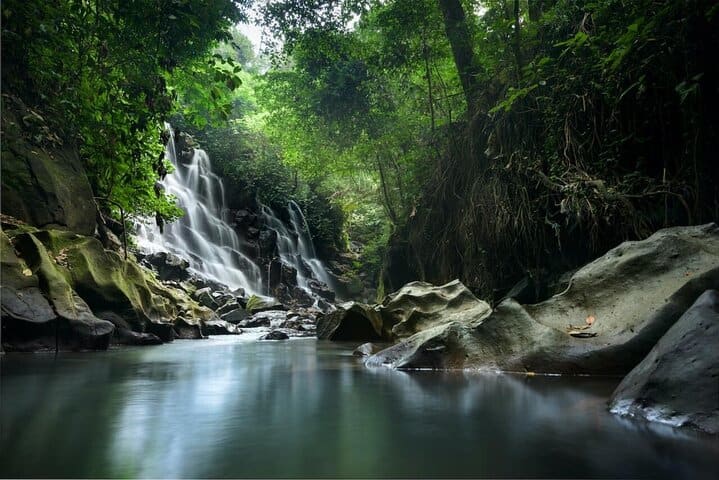 Ubud Instagram Tour Waterfalls, Temple Blessing and Rice Terraces — photograph 4