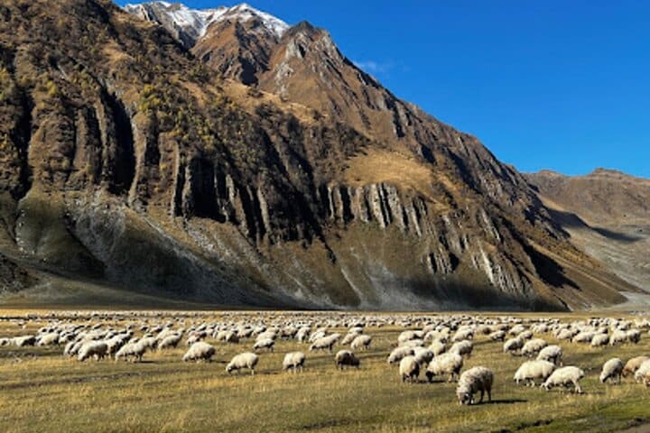 From Kazbegi to Truso Valley Trek with Hotel Transfers — photograph 4