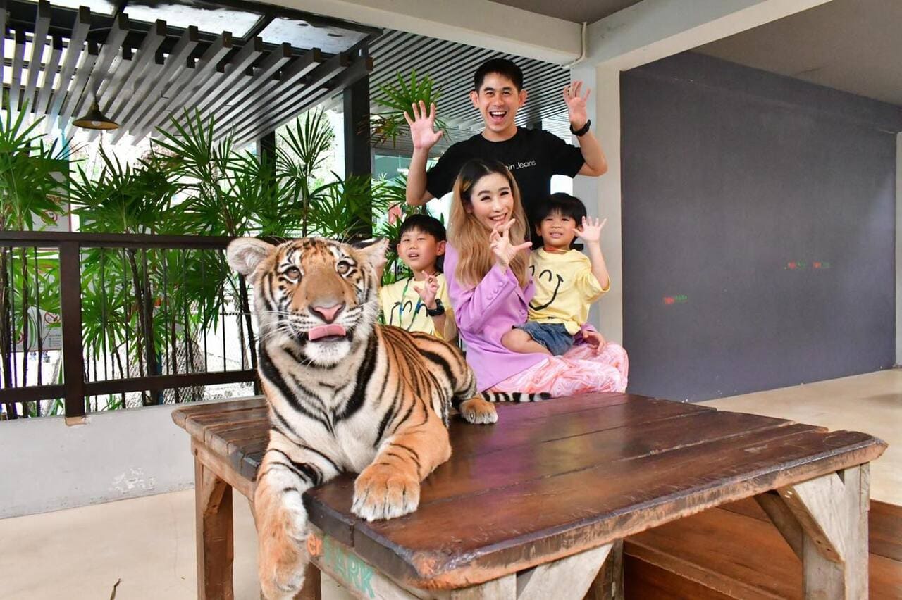 Pattaya Tiger Park Admission Ticket with a Walk Around the Park