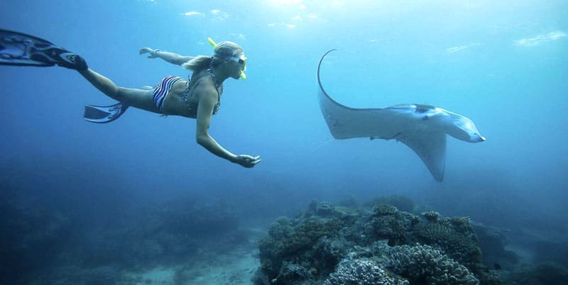 Snorkeling Manta Ray Safari in Nusa Penida