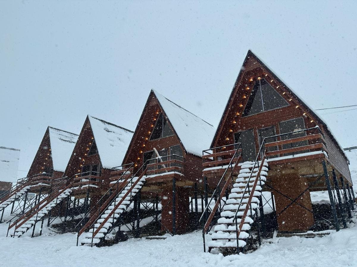 Overnight Gudauri Kazbegi Tour with Cottage Stay (in Gudauri)