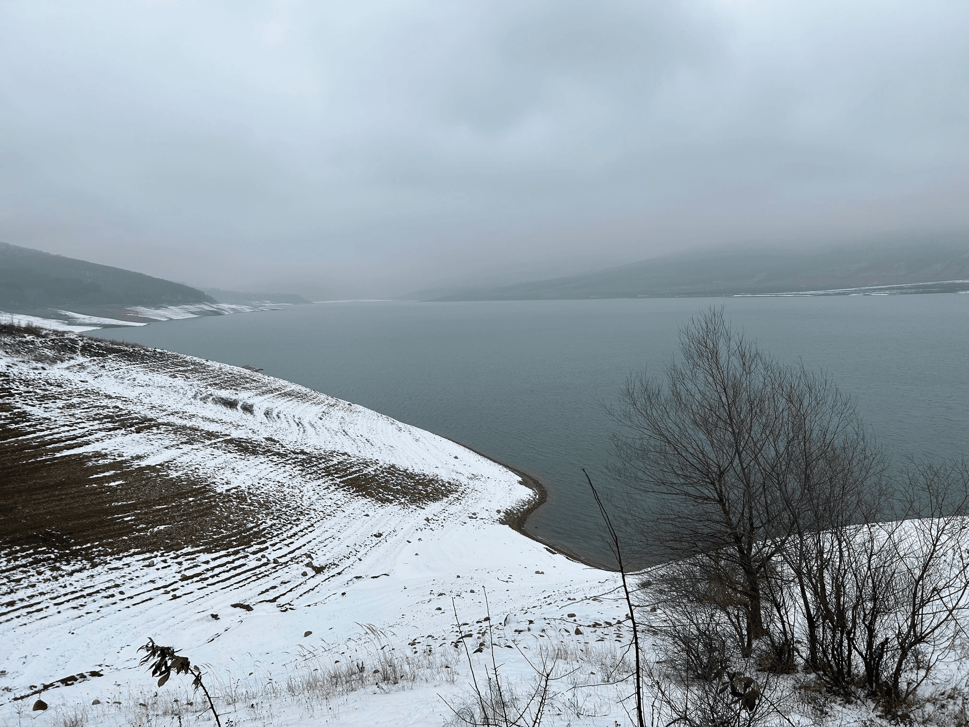 Sabaduri Forest, Sioni Lake & Bear Sanctuary from Tbilisi