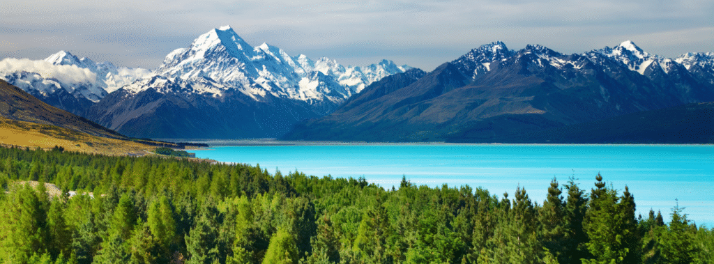 SEARCH MY GUIDE New Zealand