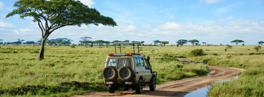 SEARCH MY GUIDE Tanzania